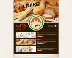 http://www.erpek.ro